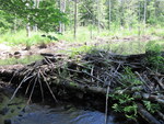 Culvert Crossing, Togus Stream at Hallowell Rd, Chelsea, Maine