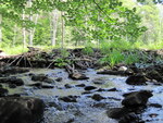 Culvert Crossing, Togus Stream at Hallowell Rd, Chelsea, Maine