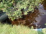 Culvert Crossing, Tolman Brook at North Rd, Carroll Plt, Maine