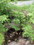 Culvert Crossing, Toothaker Stream at Toothaker Pond Rd, Phillips, Maine