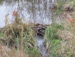 Culvert Crossing, Town Farm Brook at Drummond Rd, Sidney, Maine