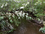 Culvert Crossing, Town Farm Brook at Valley Rd, Anson, Maine