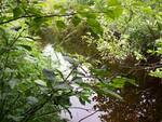 Culvert Crossing, Tracy Brook at Route 69, Etna, Maine
