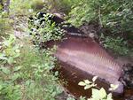 Culvert Crossing, Tracy Brook at Route 95 North, Etna, Maine