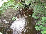 Culvert Crossing, Tracy Brook at Route 95 North, Etna, Maine