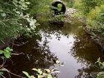 Culvert Crossing, Tracy Brook at Route 95 North, Etna, Maine