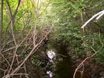 Culvert Crossing, Tracy Brook at Route 95 South, Etna, Maine