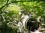 Culvert Crossing, Trafton Meadow at Bay Pt Rd, Georgetown, Maine
