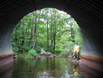 Culvert Crossing, Travel Brook at Somerville Rd, Jefferson, Maine
