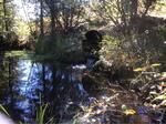 Culvert Crossing, Trib To Cold Stream at Route 201, Johnson Mountain Twp, Maine