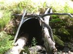 Culvert Crossing, Trib To East Branch Of Nizinscot at Route 219, Sumner, Maine