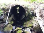 Culvert Crossing, Trib To East Branch Of Nizinscot at Route 219, Sumner, Maine