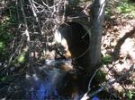 Culvert Crossing, Trib To East Branch Salmon Stream at Route 201, West Forks Plt, Maine