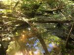 Culvert Crossing, Trib To Johnson Brook at Mahoney Hill Rd, Bingham, Maine