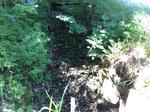 Culvert Crossing, Trib To Labrador Pond at Lower Sumner Hill, Sumner, Maine