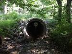 Culvert Crossing, Trib To Labrador Pond at Route 219, Sumner, Maine