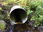 Culvert Crossing, Trib To Medomak River at Depot St, Waldoboro, Maine