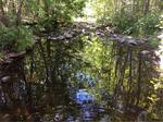 Culvert Crossing, Trib To Medomak River at Route 1, Waldoboro, Maine