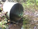 Culvert Crossing, Trib To Michael Stream at Hole In The Wall Rd, Solon, Maine