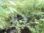 Culvert Crossing, Tribou Brook at Half Township Rd, Lincoln, Maine
