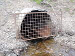 Culvert Crossing, Trout Brook at Bancroft Road, Weston, Maine
