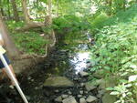 Culvert Crossing, Trout Brook at Ocean St, Cape Elizabeth, Maine