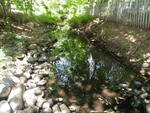 Culvert Crossing, Trout Brook at Providence Ave, South Portland, Maine
