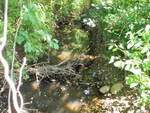 Culvert Crossing, Trout Brook at Providence Ave, South Portland, Maine