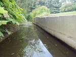 Culvert Crossing, Trout Brook at Sawyer St, South Portland, Maine