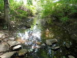 Culvert Crossing, Trout Brook at Sawyer St, South Portland, Maine