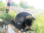 Culvert Crossing, Trout Brook at Spurwink Ave, South Portland, Maine
