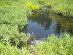 Culvert Crossing, Tucker Brook at Acres Of Wildlife, Standish, Maine