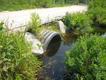 Culvert Crossing, Tucker Brook at Acres Of Wildlife, Standish, Maine