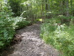 Culvert Crossing, Tucker Brook at Tucker Brook Rd, Lincolnville, Maine