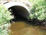 Culvert Crossing, Turner Branch at Route 3, Palermo, Maine