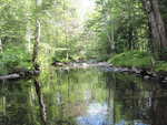Culvert Crossing, Varnum Stream at Orchard Drive, Wilton, Maine
