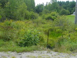 Culvert Crossing, Vaughan Brook at Litchfield, Hallowell, Maine
