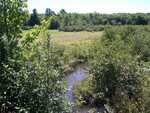 Culvert Crossing, Ward Stream at Route 9, Newburgh, Maine