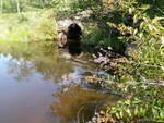 Culvert Crossing, Warren Brook at Rolerson Rd, Belfast, Maine