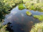 Culvert Crossing, Warren Brook at Rolerson Rd, Belfast, Maine
