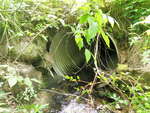 Culvert Crossing, Waterhouse Brook at Cleve Tripp Rd, Poland, Maine