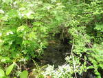 Culvert Crossing, Waterhouse Brook at Cleve Tripp Rd, Poland, Maine
