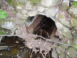 Culvert Crossing, Watson Brook at Kelly Road, Bancroft Twp, Maine