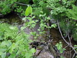 Culvert Crossing, Watson Brook at Kelly Road, Bancroft Twp, Maine