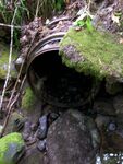 Culvert Crossing, Webb Brook at Clark Road, Patten, Maine