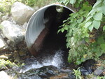 Culvert Crossing, Webb Brook at Gardiner Street, Patten, Maine