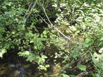 Culvert Crossing, Webb Brook at Gardiner Street, Patten, Maine