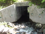 Culvert Crossing, Webb Brook at Houlten Street, Patten, Maine