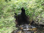Culvert Crossing, Webb Brook at Willow Street, Patten, Maine