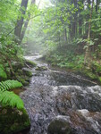 Culvert Crossing, Wedgwood Brook at Federal St/Rt 25, Cornish, Maine